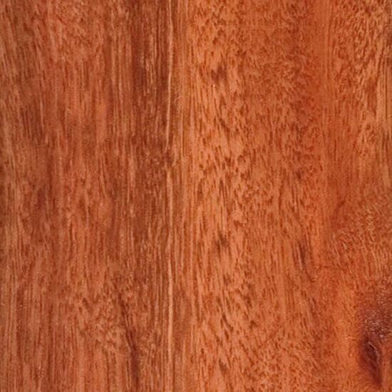 Red Ironbark