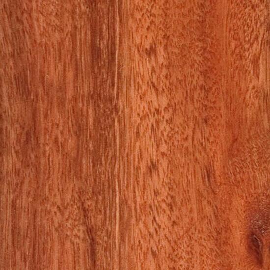 Red Ironbark