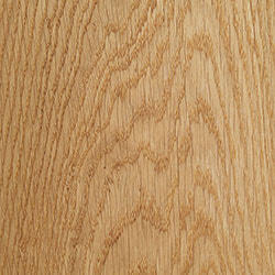 European Oak